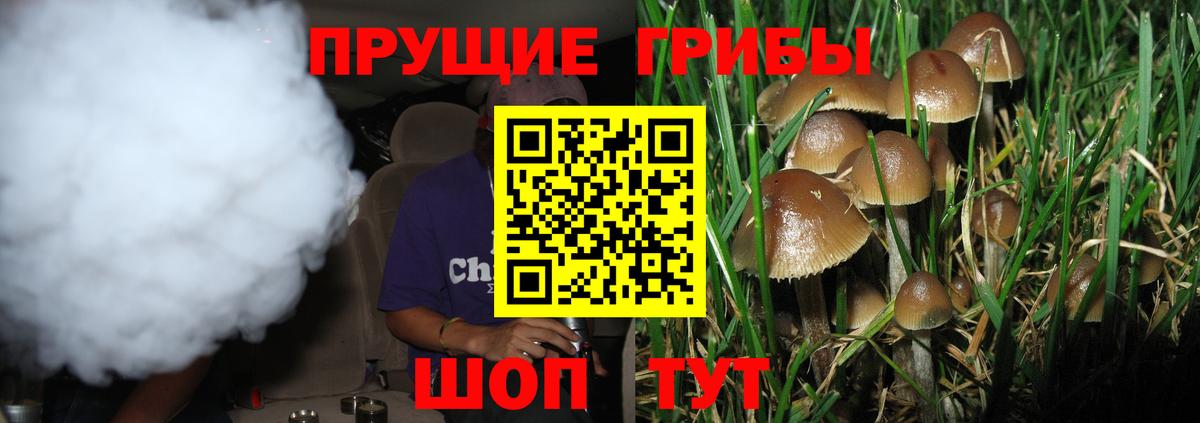Галлюциногенные грибы ЛСД  Псилоцибиновые грибы MAGIC MUSHROOMS  Севастополь  Вход с VPN 